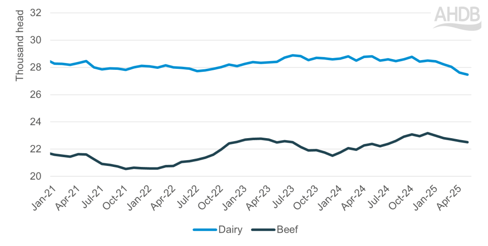 Rolling 12 month average OTM female kill by type